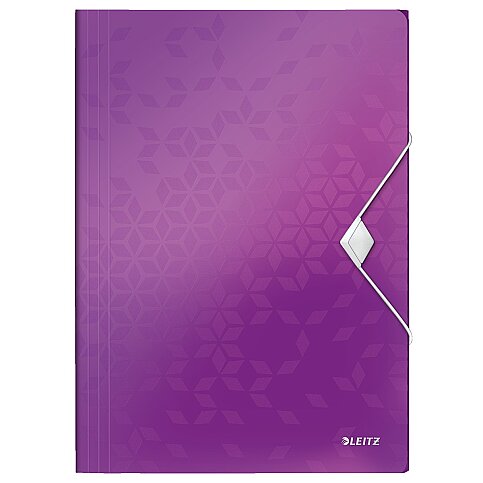 LEİTZ 4599 ACTİVE WOW İNCE LASTİKLİ DOSYA METALİK MOR - 1