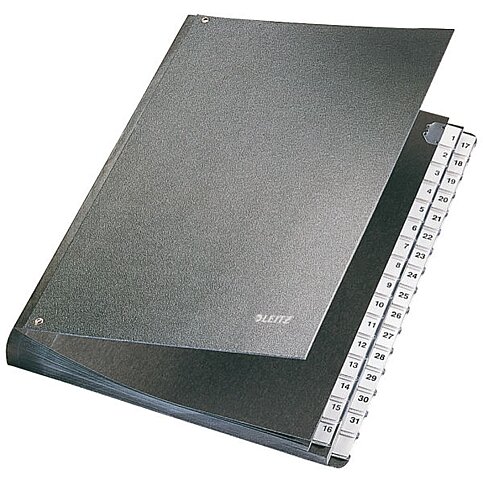 LEİTZ 5831 EVRAK DÜZENLEYİCİ 1-31 SİYAH - 1