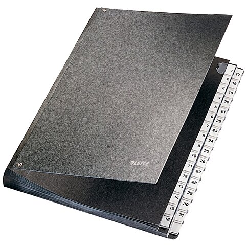 LEİTZ 5931 PLASTİK EVRAK DÜZENLEYİCİ 1-31 SİYAH - 1