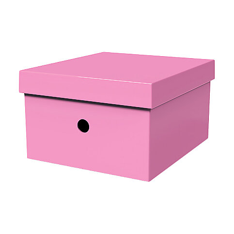 MAS 8224 RAİNBOW KARTON KÜÇÜK BOY ARŞİV KUTUSU PEMBE - 1