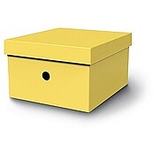 MAS 8224 RAİNBOW KARTON KÜÇÜK BOY ARŞİV KUTUSU SARI - MAS