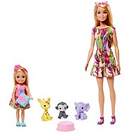 Mattel Barbie Chelse Kayıp Doğum Günü Oyun Seti (Gtm82) - 2