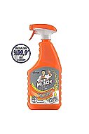 MR.MUSCLE MUTFAK TEMİZLEYİCİ LİMON 750ml - MR.MUSCLE