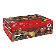 NOVA COLOR NC-461 GUAJ BOYA ŞİŞE 12 RENKx25ml - NOVA COLOR