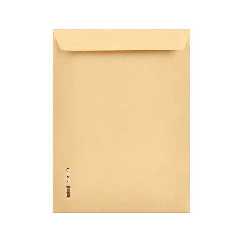 OBAG HAVA KABARCIKLI ZARF 37x45 (30008251)