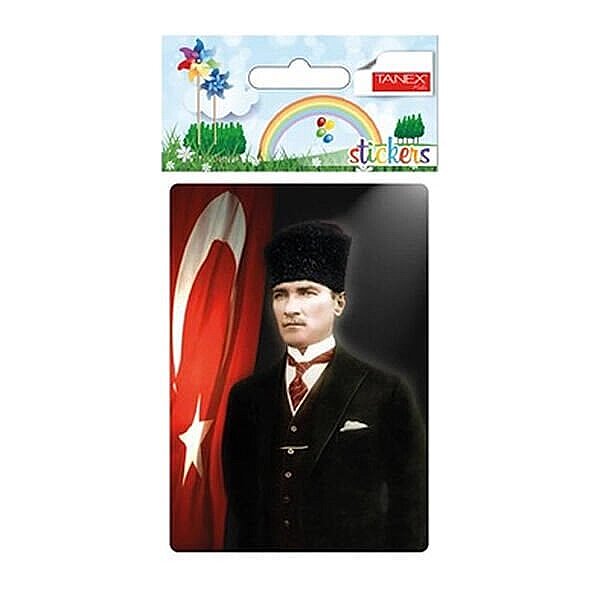 TANEX STC-262 ATA-4 ETİKETİ 2Lİ POŞET