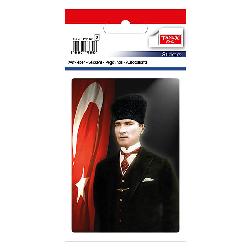 TANEX STC-264 ATA-6 ETİKETİ 2Lİ POŞET