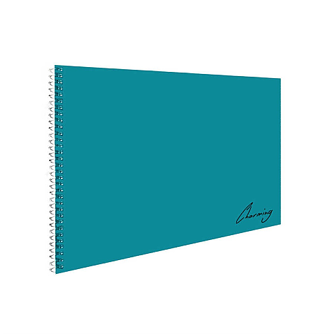 TOKAÇ TOK-1020 MY LESSON SPİRALLİ PLASTİK KAPAK RESİM DEFTERİ 24x34 25 YAPRAK - 1