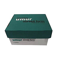 UMUR SÜREKLİ FORM 11x38 2 NÜSHA 60gr 1000Lİ (30000024) - UMUR