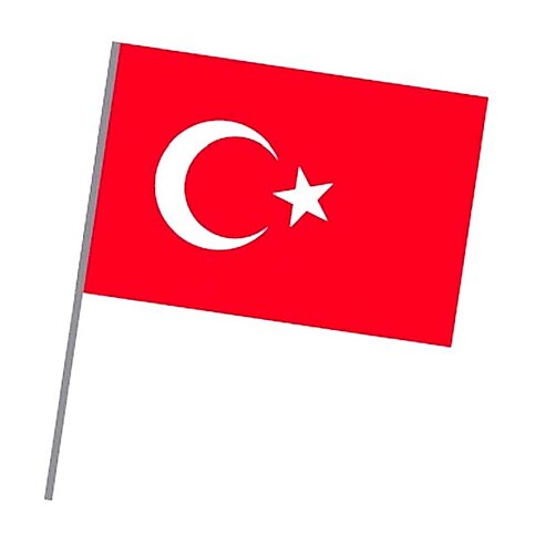 VATAN VT225 SOPALI BEZ BAYRAK 20x30cm - 1