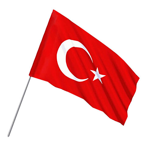 VATAN VT231 SOPALI PONJE BAYRAK 30x45cm 10LU - 1