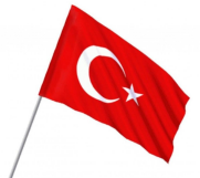 Vatan Vt-231 Sopalı Ponje Bayrak 30X45Cm 10Lu - Vatan