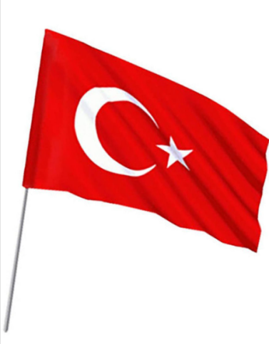 Vatan Vt-237 Sopalı Ponje Bayrak 20X30Cm - 1