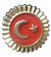 Vatan Vt605 Türk Bayraklı Rozet - VATAN (1)